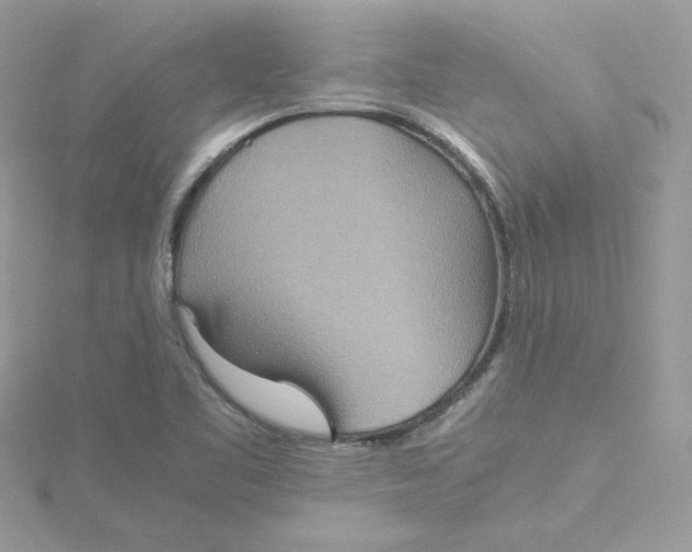 X0000115211461200911181519