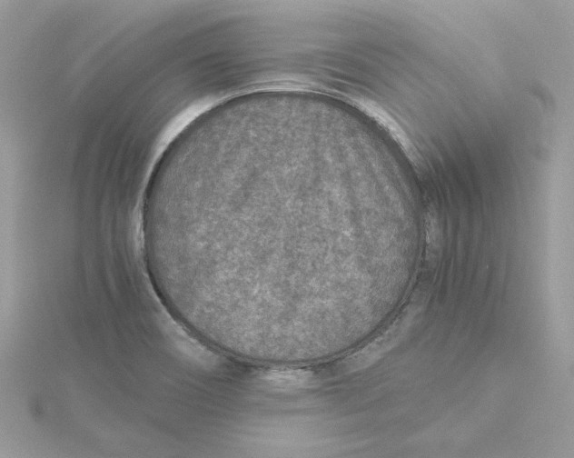 X0000115211466200911181518