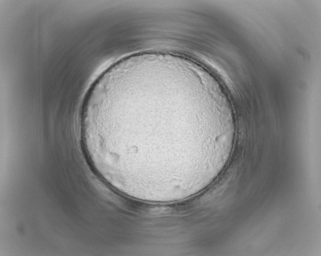 X0000115211467200911181518