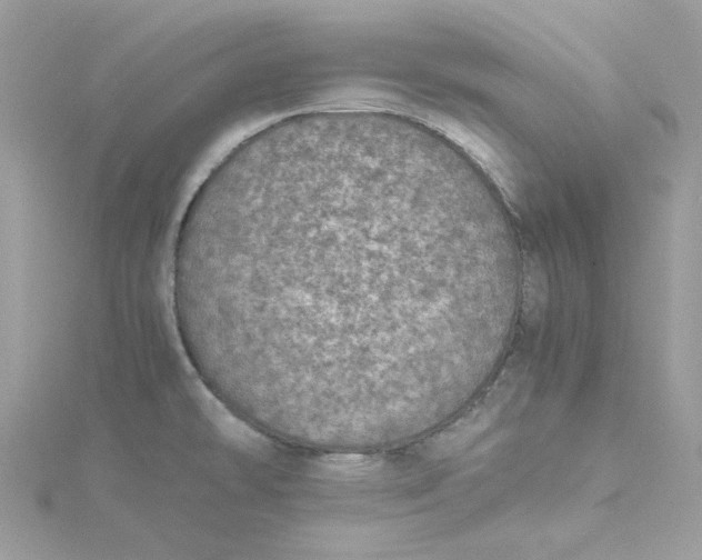 X0000115211478200911181518