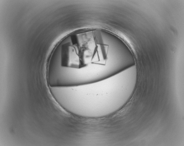 X0000115211480200911181518