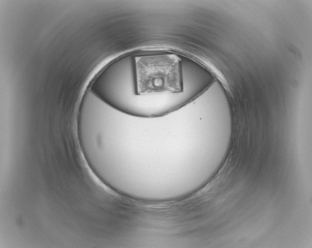 X0000115211484200911181518