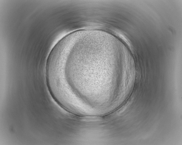 X0000115211487200911181518