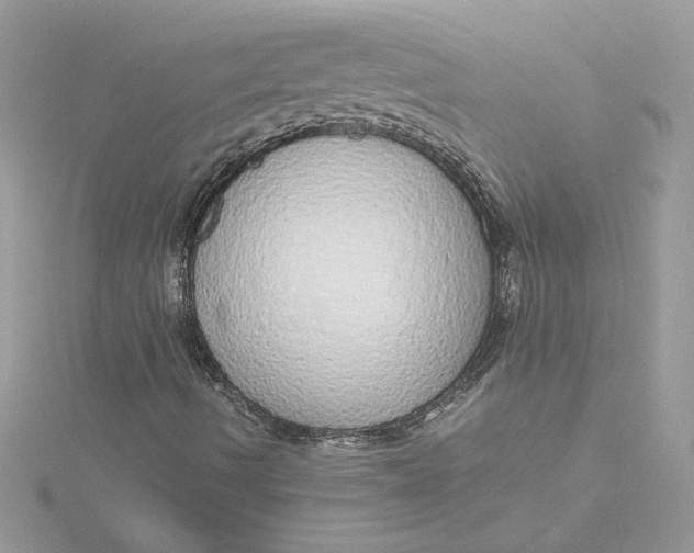 X0000115211490200911181517