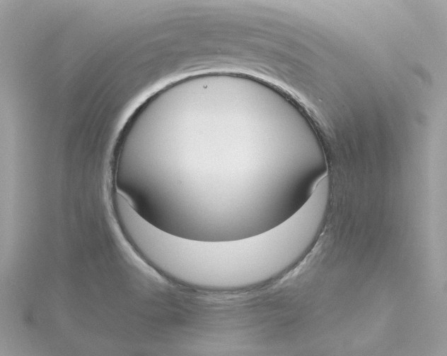 X0000115211518200911181518