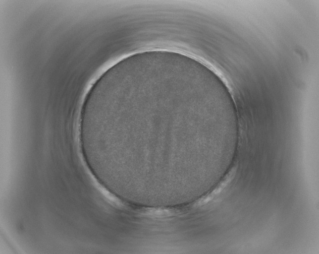X0000115211525200911181518