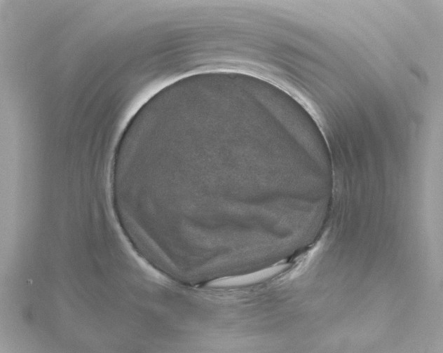 X0000115211533200911181518