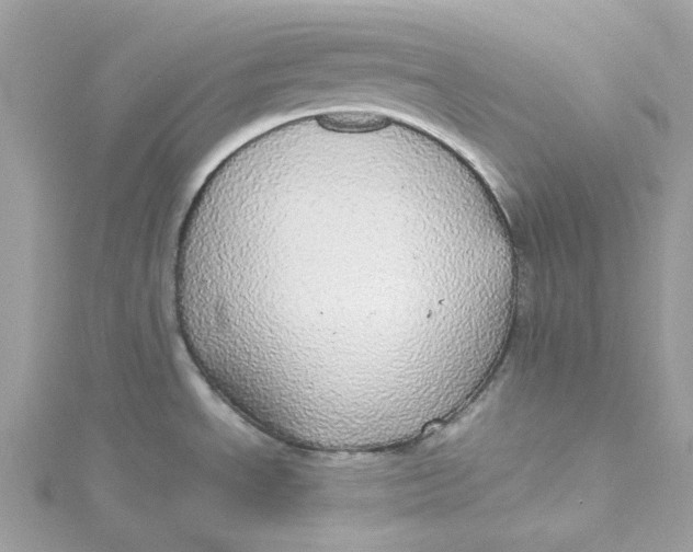 X0000115211534200911181518