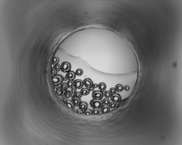 X0000115210001200911251519