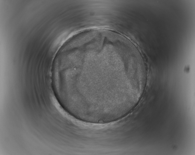 X0000115210002200911251519