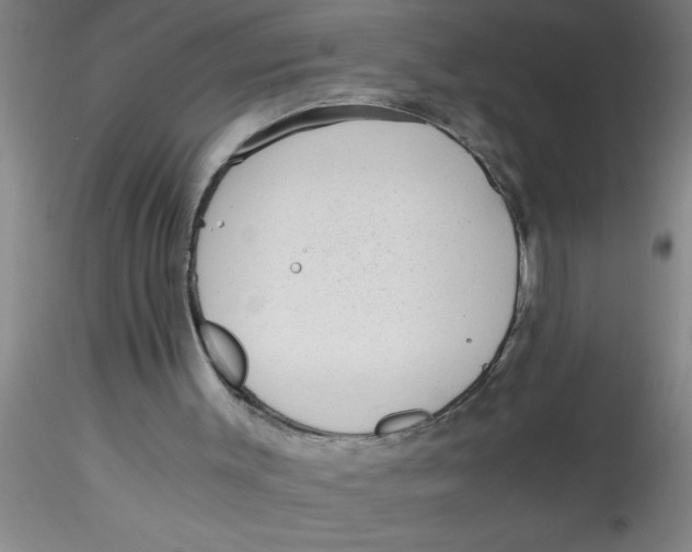 X0000115210003200911251519