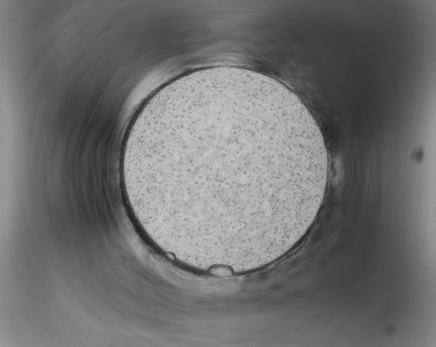 X0000115210004200911251519