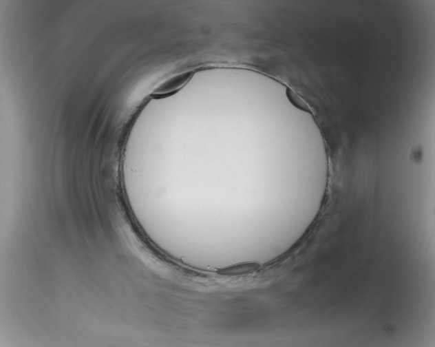 X0000115210005200911251519