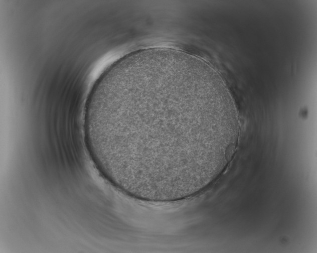 X0000115210006200911251519