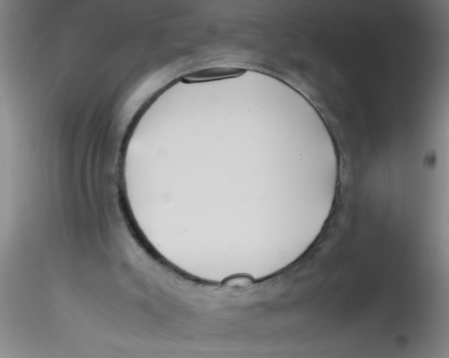 X0000115210007200911251519