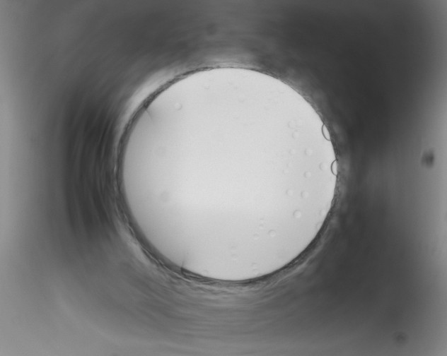 X0000115210008200911251519