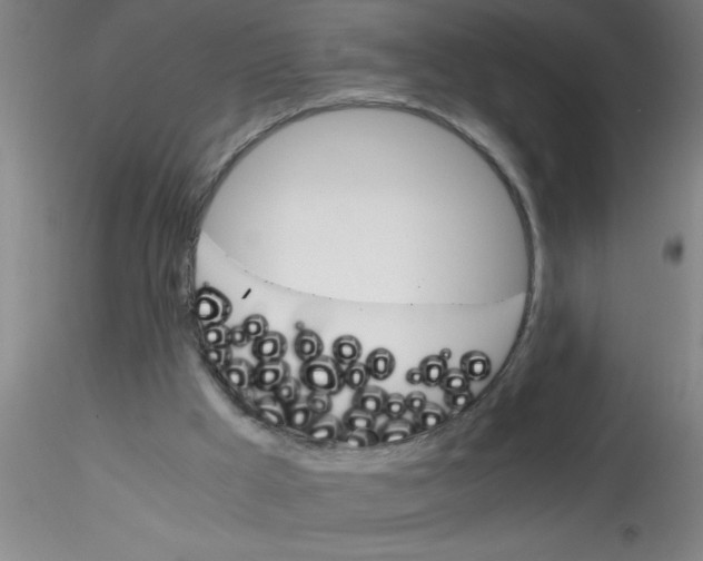 X0000115210009200911251519