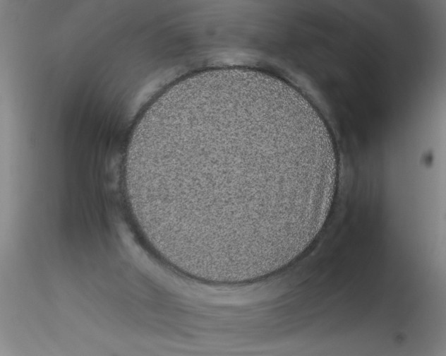 X0000115210010200911251519