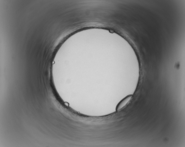 X0000115210011200911251519