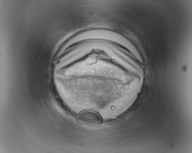 X0000115210012200911251519