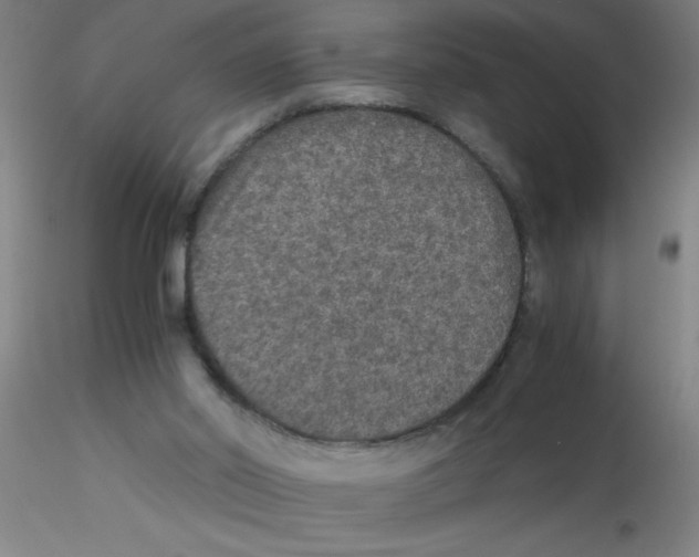 X0000115210014200911251519