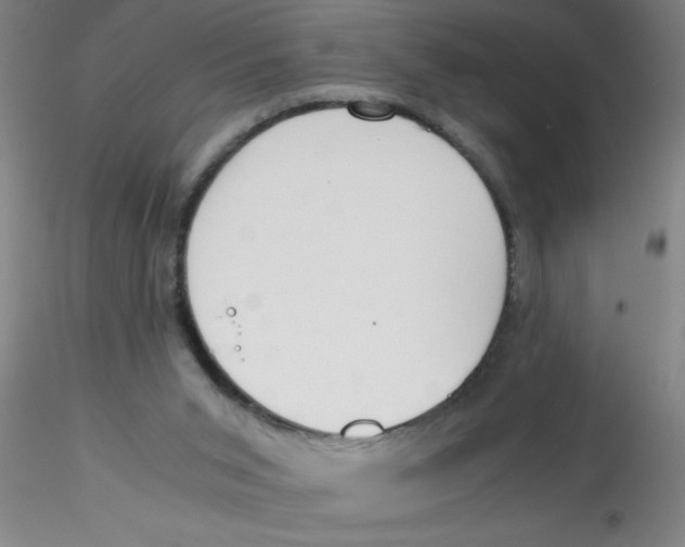 X0000115210015200911251518