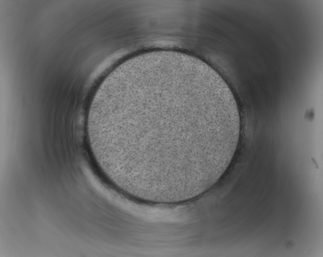 X0000115210016200911251518