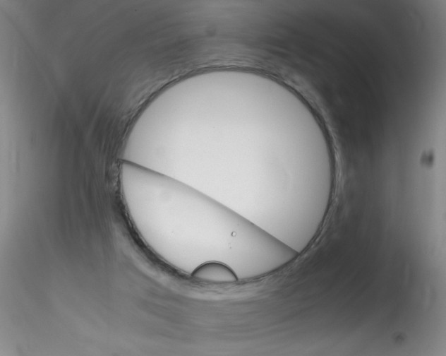 X0000115210017200911251518