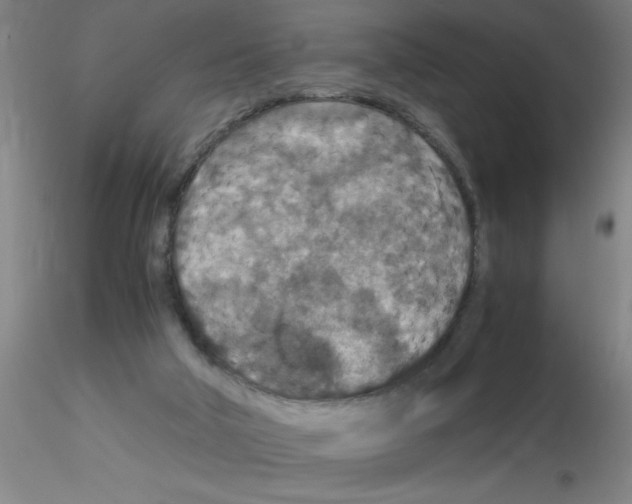 X0000115210018200911251518