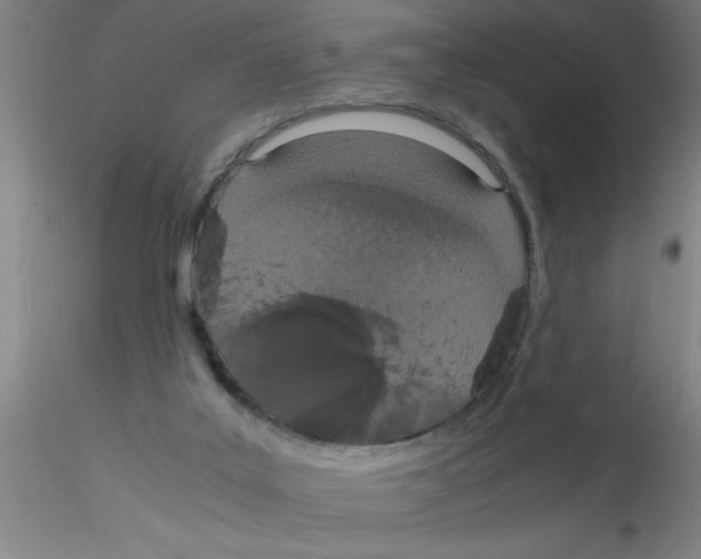 X0000115210019200911251518