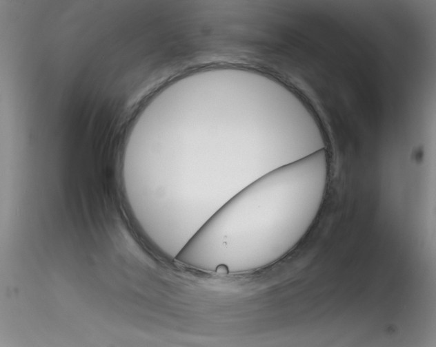 X0000115210020200911251518