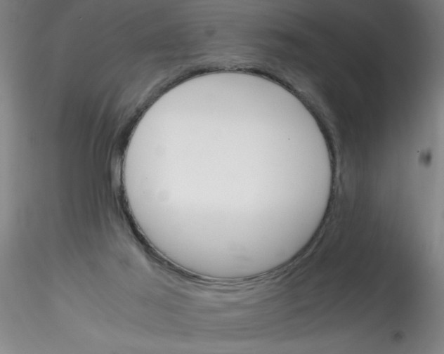 X0000115210021200911251518