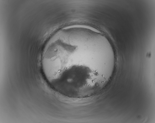 X0000115210023200911251518