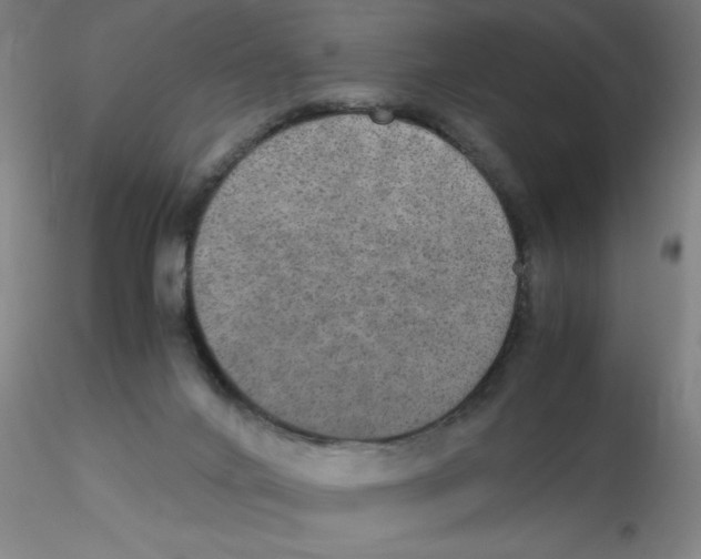 X0000115210024200911251518