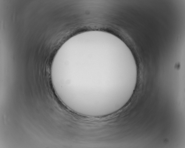 X0000115210025200911251518