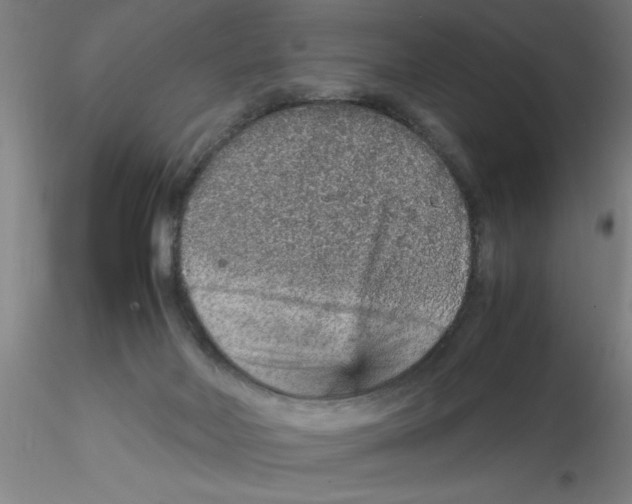 X0000115210026200911251518