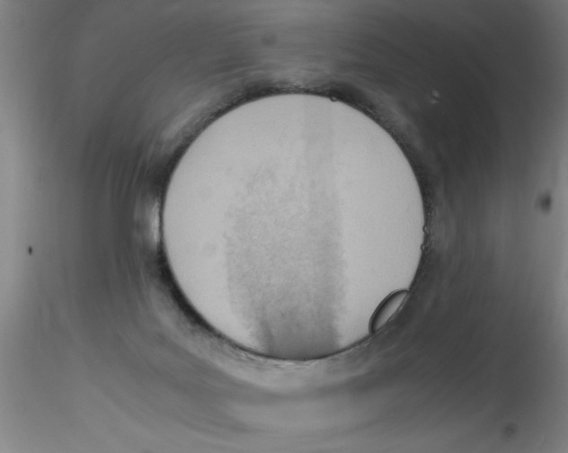 X0000115210027200911251518