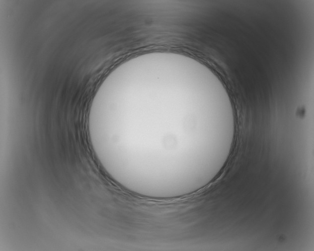 X0000115210029200911251518