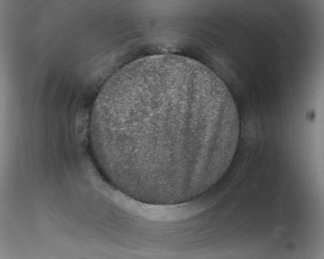 X0000115210030200911251518