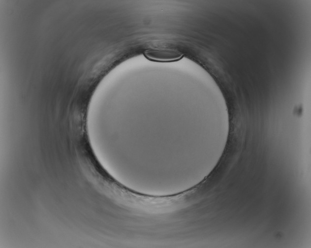 X0000115210031200911251518