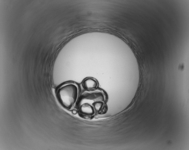 X0000115210033200911251518