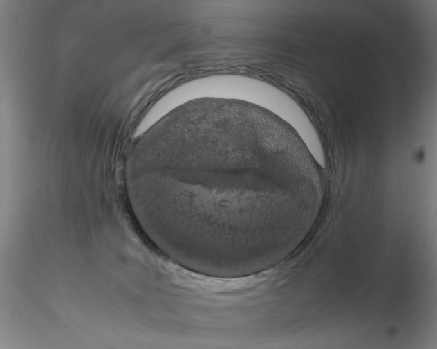 X0000115210035200911251518