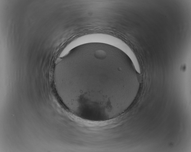 X0000115210039200911251518