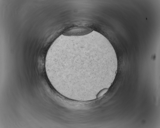 X0000115210040200911251518