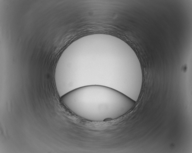 X0000115210041200911251518