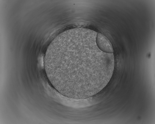 X0000115210042200911251518