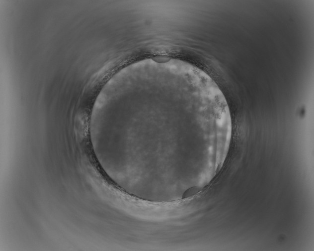 X0000115210043200911251518