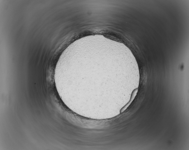 X0000115210044200911251518