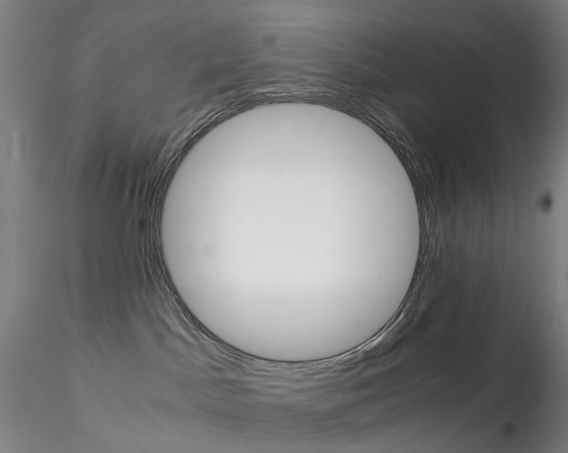 X0000115210045200911251518