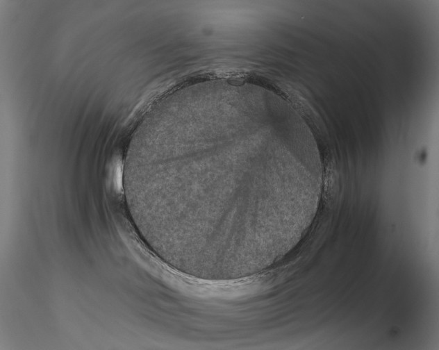 X0000115210046200911251518